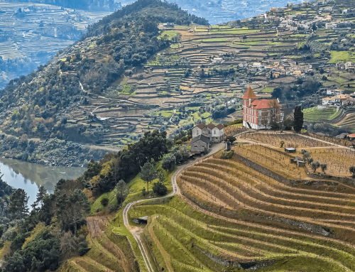 Dramatic Landscapes + Vintage Port of the Douro Valley