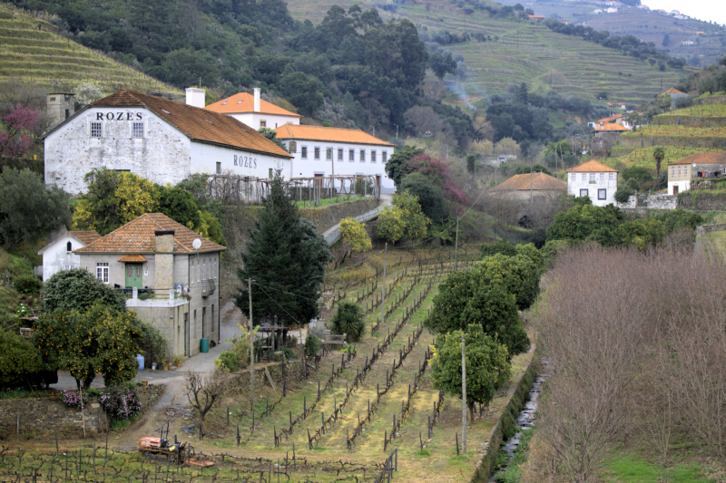 roze’s-historic-quinta