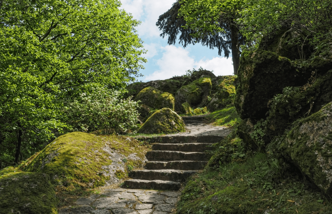 The Silent Guardian of Guimarães