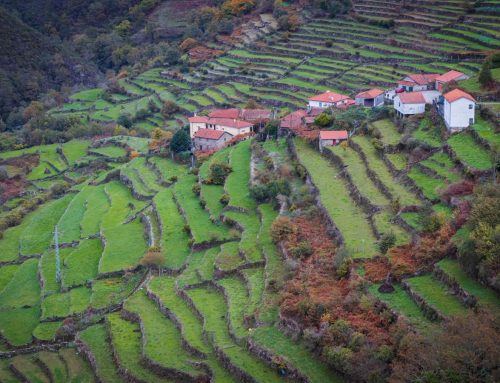 Ancient Corriddors of Alto Minho