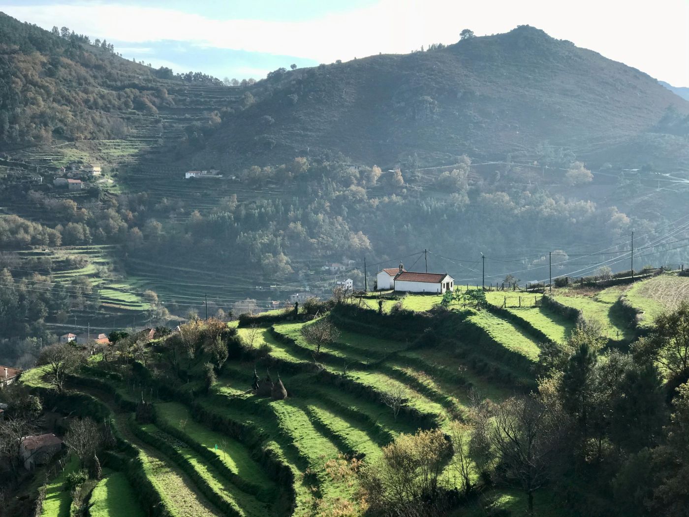 Sistelo’s lush green agricultural terraces cascading across the mountainside in northern Portugal